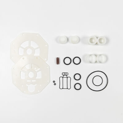 Maksimum 120 psi Basınç 270 gpm Maksimum Akış PTFE Diyaframlı AODD Pompa (Atık Su Arıtma ve Sulama İçin)