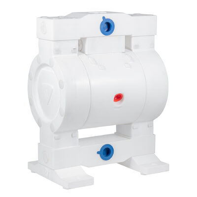 Atık su kimyasal endüstrisi için özelleştirilebilir düşük basınçlı PTFE malzemesi pnevmatik diafragma pompası