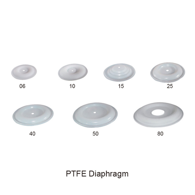 Diyaframlı PTFE Havayla Çalışan Çift Diyaframlı Pompa Parçaları